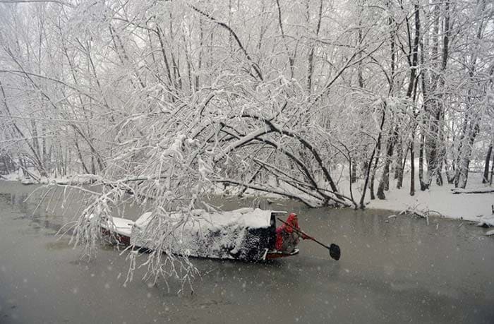 Heavy Snowfall Leaves Kashmir And Shimla Whitewashed