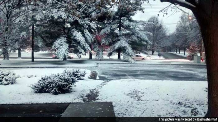 Twitterati Post Pictures of the US Snowstorm
