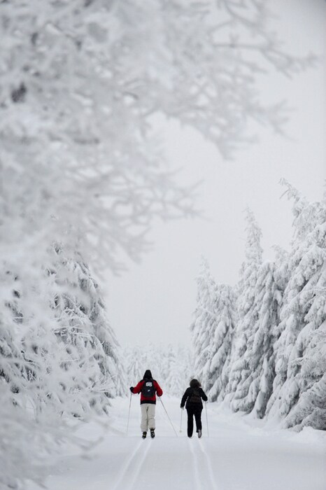 Skiers  make their way through the snow-covered landscape near the central German town of Sonnenberg on December 18, 2010. Most parts of the country are buried under snow, causing traffic chaos and closing schools in several areas. (AFP Photo)