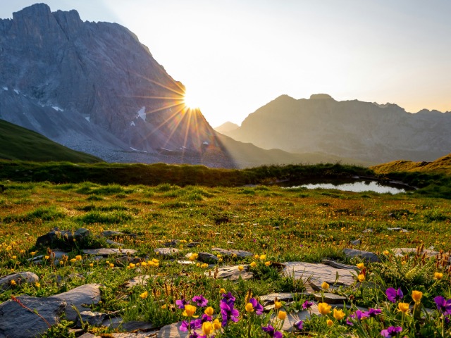 सुबह की धूप लेना क्यों जरूरी है