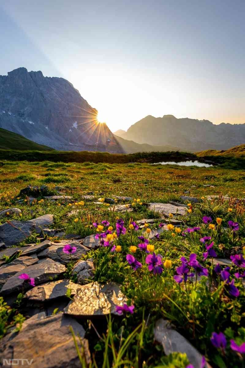 सुबह की हल्की धूप शरीर को विटामिन डी प्रदान करती है.