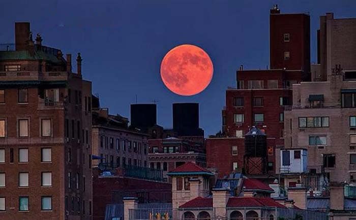 Picture of the supermoon setting in the morning at 6 am taken in New York City, United States. Photo Courtesy - Everything NYC