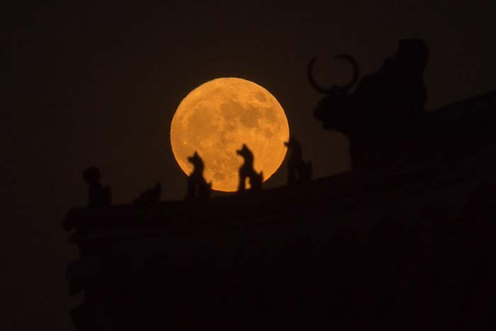 "Supermoon" rises behind small sculptures standing on the roof of a tower in the Forbidden City in Beijing. (AFP Photo)