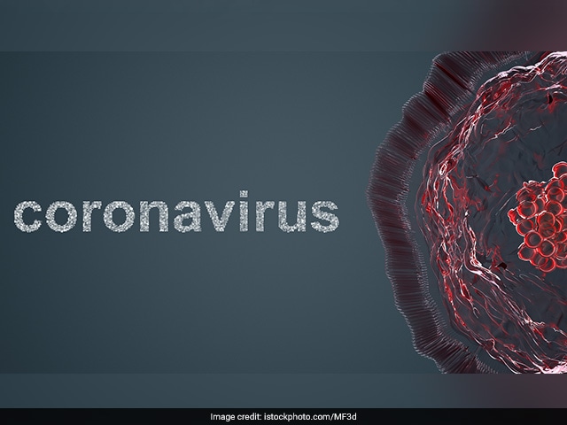 Photo : All You Need To Know About The Different Types Of Coronavirus