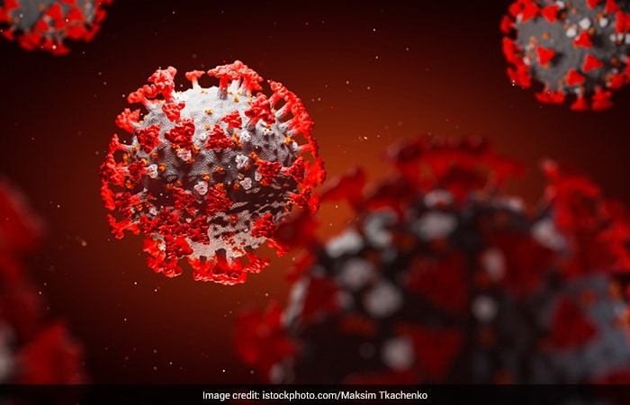 All You Need To Know About The Different Types Of Coronavirus