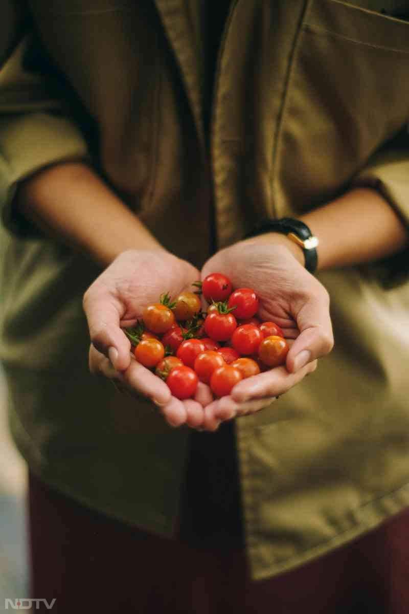 टमाटर में सोलनिन नामक कंपाउंड पाया जाता है, जो कुछ लोगों में जोड़ों के दर्द और सूजन को बढ़ा सकता है. गठिया (अरथराइटिस) या जोड़ों के दर्द वाले लोगों को टमाटर कंट्रोल में खाना चाहिए. Pic Credit- Pexels