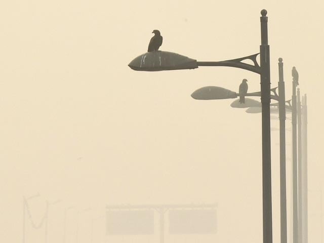 Thick Smog Envelops Delhi, Neighbouring Cities For 2nd Consecutive Day After Diwali