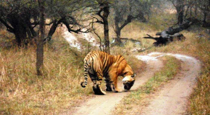 <b>Winner for 23rd March: </b>Anurag Nigam