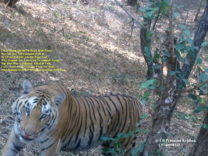 <b>Winner for 28th March: </b>Prasanna Krishna