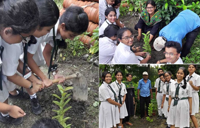 Tree Plantation And Clean Up Drives Organised By Schools For The Banega Swachh India Campaign