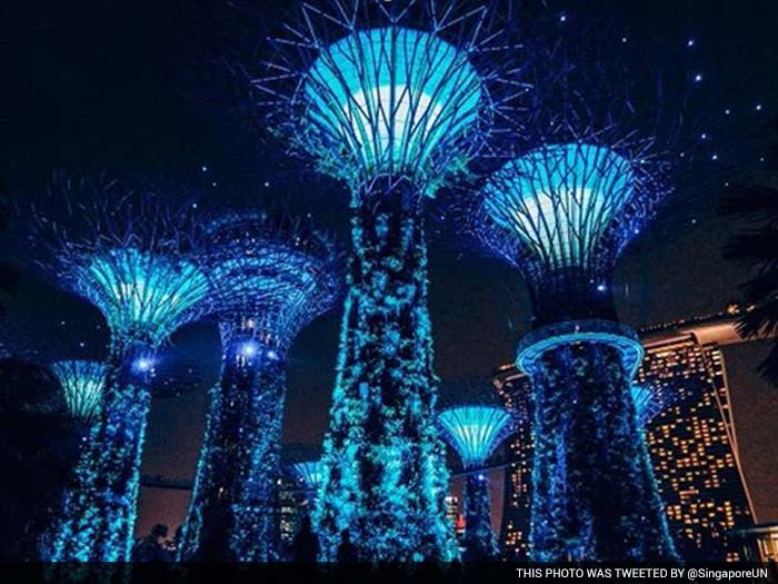 Gardens by the bay, Singapore