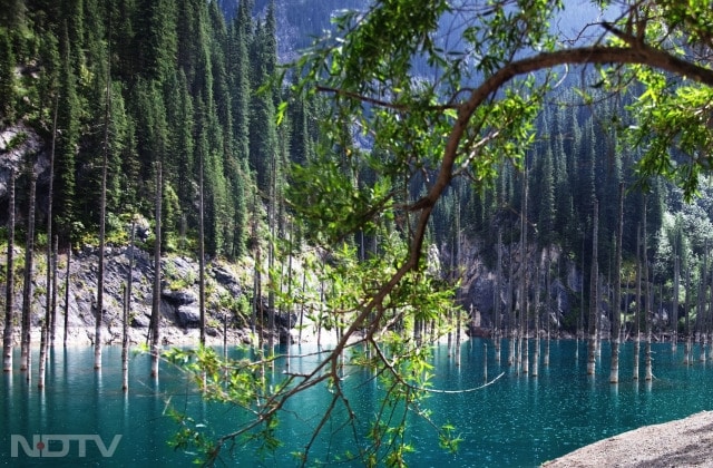 ये जंगल डूबा कैसे? - 1911 में आए एक बड़े भूकंप से पहाड़ टूटकर घाटी में गिर गया.