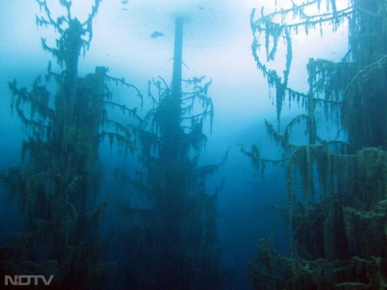 जिससे एक प्राकृतिक बांध बना और जगह झील में बदल गई. पानी बढ़ते-बढ़ते पूरा जंगल इसमें डूब गया.