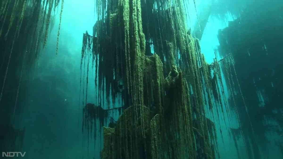 पानी का रंग - लेक कैंडी का पानी बेहद साफ और फिरोज़ी रंग का है. यह कैल्शियम कार्बोनेट और घुले मिनरल्स की वजह से होता है.