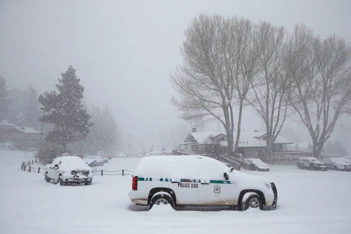 Snowstorm blankets US Northeast