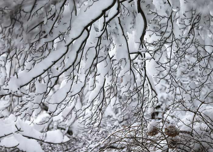 Winds gusted to 83 miles per hour (134 km per hour) at Cuttyhunk, New York, and brought down trees across the region.