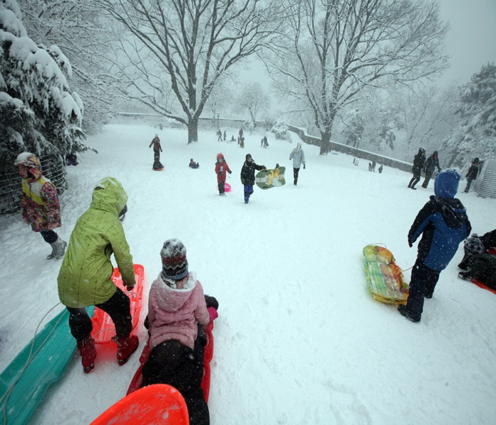 In the heavily travelled territory between New York and Washington, no one was going anywhere fast. Several major airlines, including Southwest and Continental had cancelled many of their Wednesday flights from East Coast airports.<br><br>In this picture, Sledd�ing in Fort Tryon Park in Manha�ttan, child�ren took advan�tage of a rare schoo�l closi�ng on Wedne�sday.(NYT Photo)