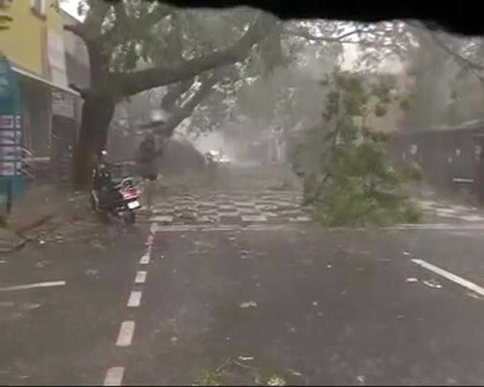 The heavy rain and strong winds that are lashing Chennai have uprooted and bent trees.