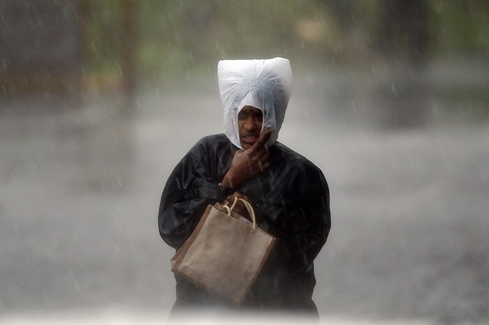 The Tamil Nadu Government has also asked private offices to allow their staff to take a day off or work from home. (PTI Photo)