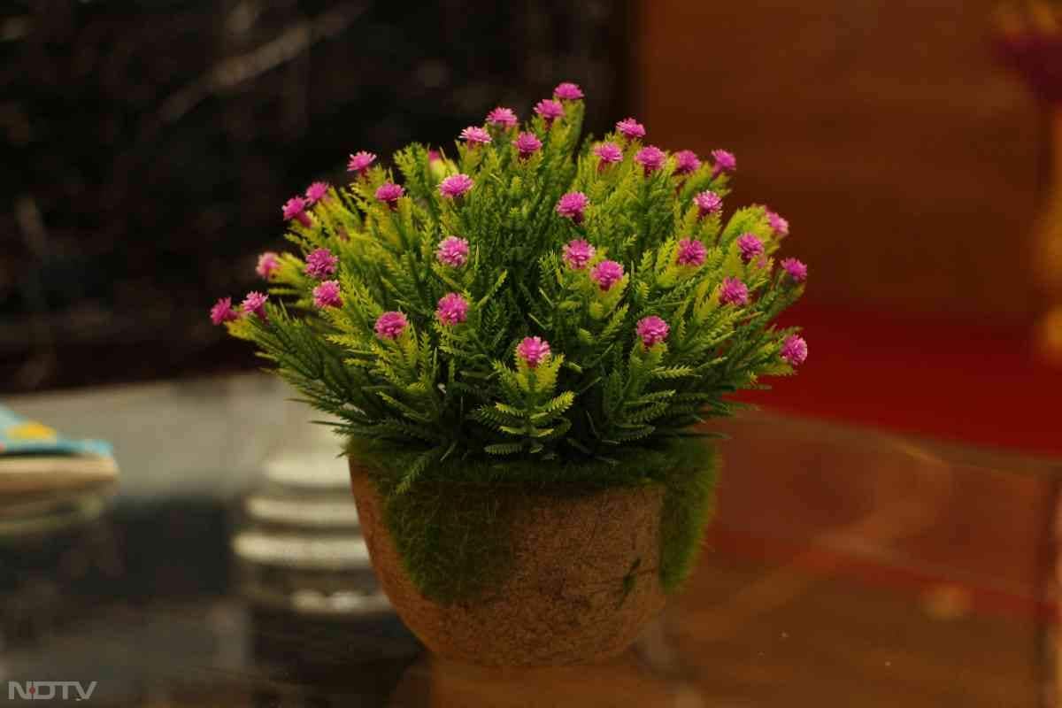 वास्तु शास्त्र के अनुसार, घर में नकली फूलों और पौधों को लगाना शुभ नहीं माना गया है.  Pic Credit- Pexels