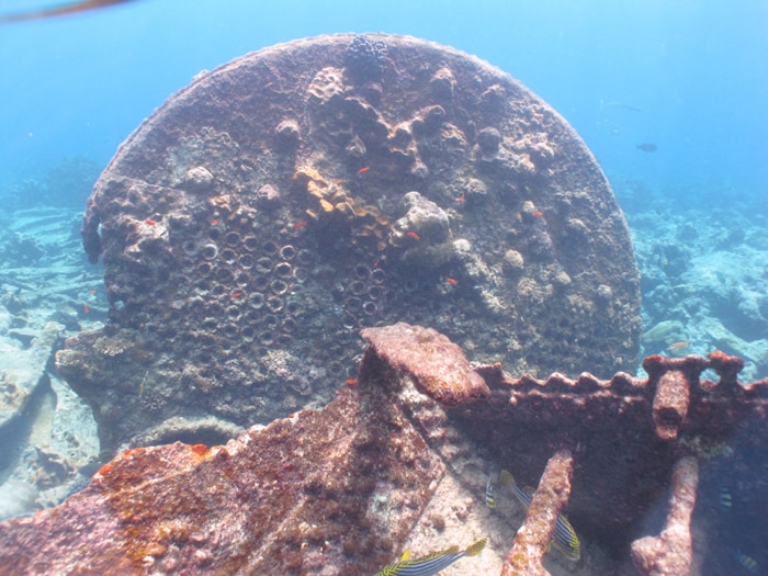 A part of the boiler of one of the steamship wrecks off Minicoy, Lakshadweep