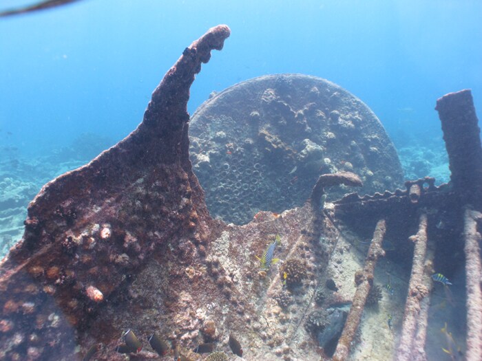 A part of the boiler of one of the steamship wrecks off Minicoy, Lakshadweep.