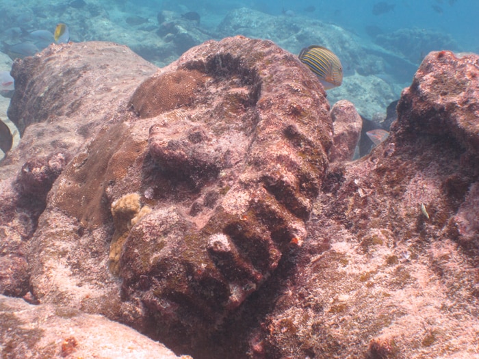 Machinery of one of the steamship wrecks off Minicoy, Lakshadweep.