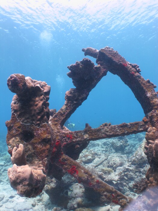 Counterweight or possibly a part of the mast of one of the steamship wrecks off Minicoy, Lakshadweep.