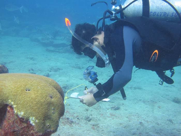 Seen here is Dr Rohan Arthur underwater.