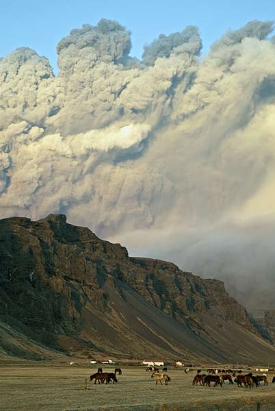 National aviation authorities continued to send conflicting messages to airlines and passengers on Sunday. While some isolated airports, like Frankfurt, Berlin and Warsaw, cleared the way for a handful of flights heading away from the ash cloud, most flights in northern and central Europe remained grounded.(NYT photo)