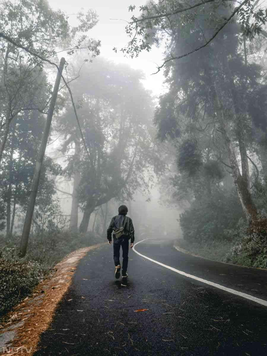 शरीर में फुर्ती आती है और थकान कम महसूस होती है.