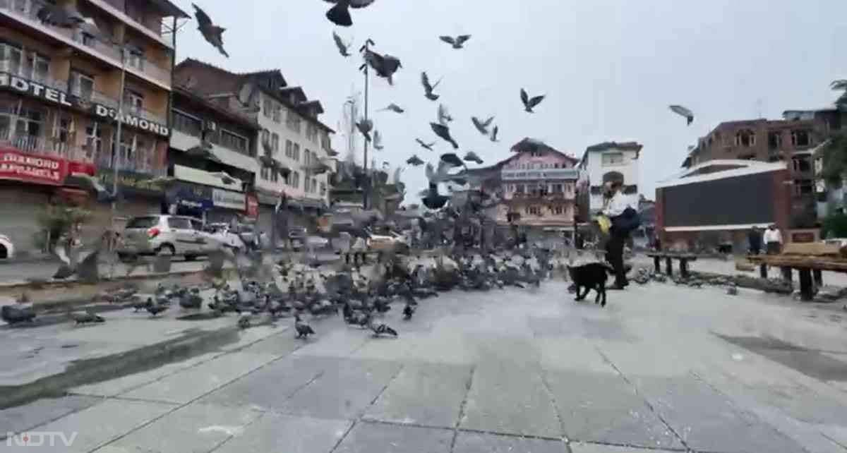 केंद्रीय गृहमंत्रालय ने निर्वाचन आयोग (ईसी) से कहा है कि जम्मू कश्मीर में विधानसभा चुनाव के वास्ते पर्याप्त सुरक्षाकर्मी उपलब्ध कराने के लिए वह तैयार हैं. सूत्रों ने बुधवार को यह जानकारी दी. (फोटो क्रेडिट : नीता शर्मा)