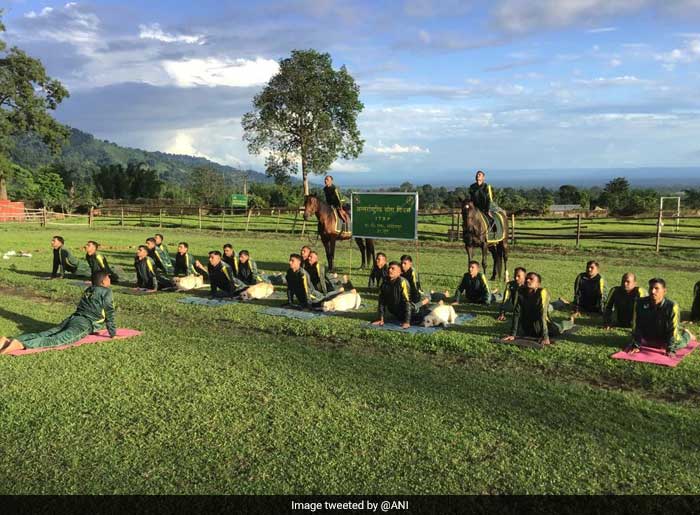 ITBP troops of ATS Lohitpur, perform yoga with their dogs and horses on International Day of Yoga.