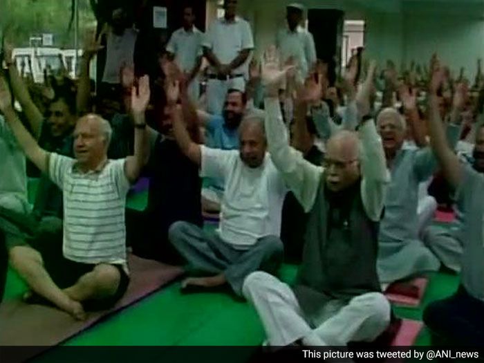 Politicians  Celebrate International Yoga Day