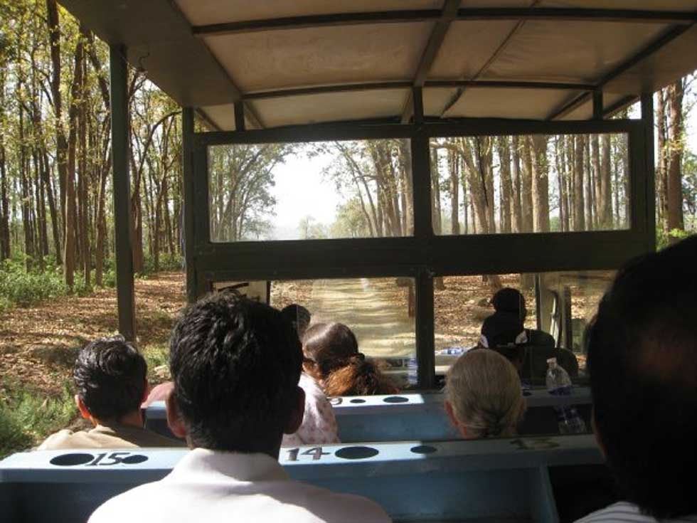 We sat in a huge Canter that would take us to the inner parts of the Jungle