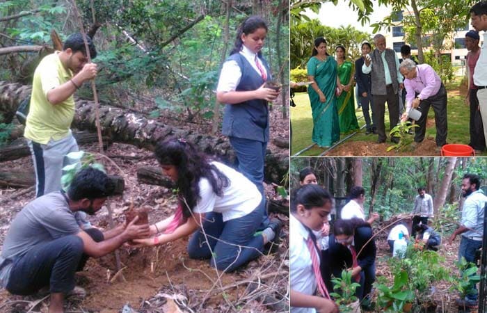 Students along with staff members of BGS National Public School planted saplings in the surrounding, in an effort to make India a greener place to stay.