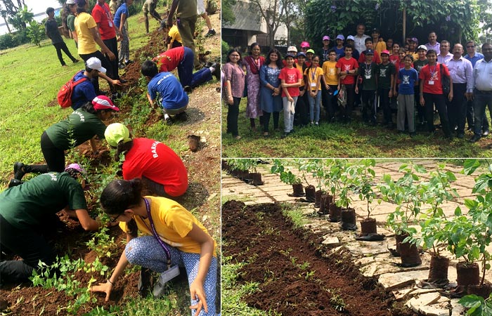 The students of The Cathedral and John Connon Middle School planted 300 saplings in the BMC garden at Cuffe Parade. Saplings were provided by the Reliance Group and BMC.