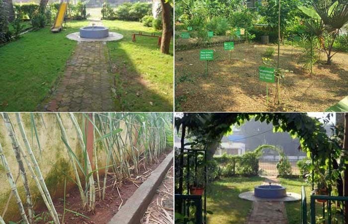 As part of the Behtar India campaign, Central Railway School not only conducted a plantation drive, but also developed various gardens like fruit and butterfly garden, fruit garden and ornamental gardens. Sides of playground and toilets were also beautified with plants. In total 4000 saplings were planted.