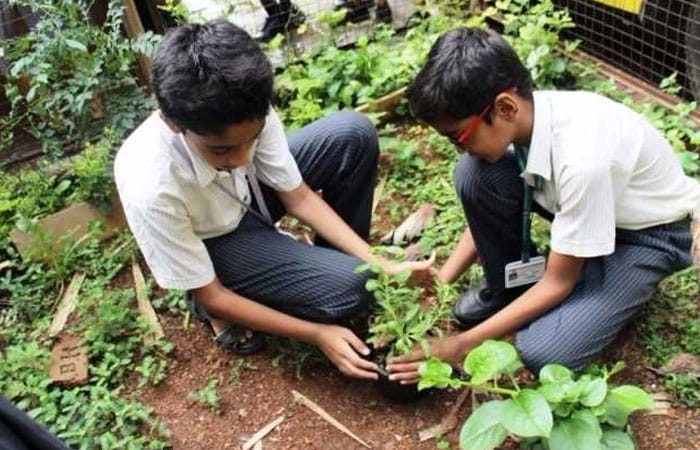 With a message of 'the more the hands, the greener the planet', the students of Children's Academy conducted a plantation drive and turned their school into a greener place.