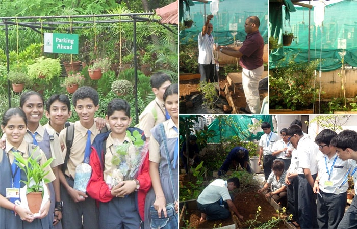 Children's Academy Group of Schools, Mumbai, organised a plantation drive in which not only students and teachers participated but parents also. The school gifted saplings to the parents and asked them to carry out the plantation in their vicinity. Each and every little place was covered with saplings. In total 1000 saplings were planted by the school.