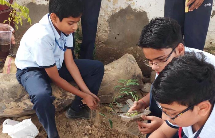 The students of City Montessori Inter College, Aliganj, actively participated in a plantation drive organised by the school and planted saplings.