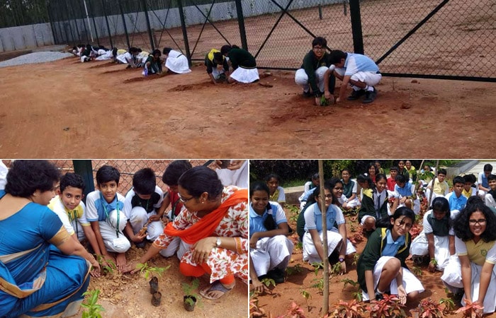 The students and staff members of Delhi Public School, Bengaluru East turned a barren land of their school into a green spot by planting 500 saplings.