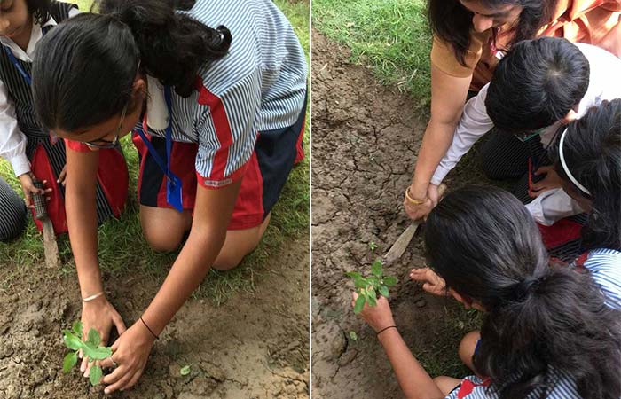 The students and teachers of GD Goenka actively participated in Behtar India campaign. As part of the campaign, the school organised a plantation drive and planted saplings.