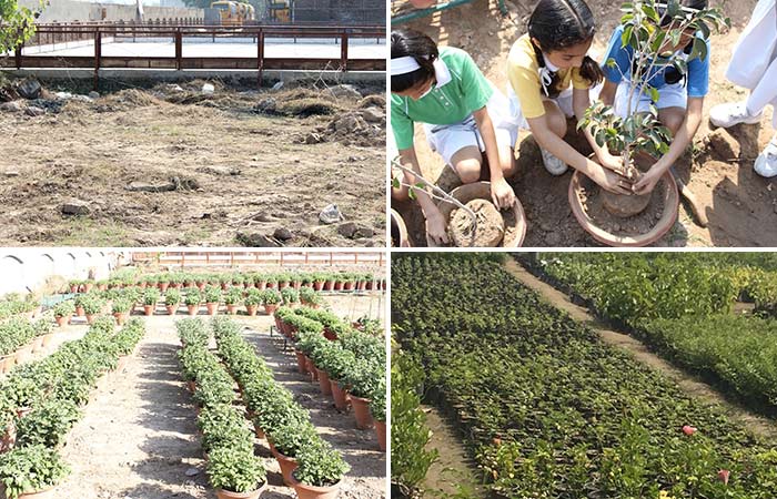 The students of Gurukul School with the help of their teachers and school gardeners turned a barren land and a garbage dump into a green area. An area behind school building got a greener look with ornamental and flowering plants.