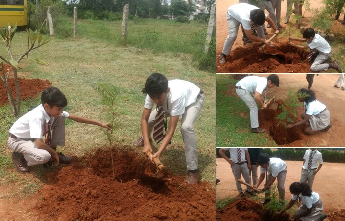 Seen here are the students of Indus International School who actively participated in plantation drive organised by the school under Behtar India campaign stage 3 and planted 500 saplings.