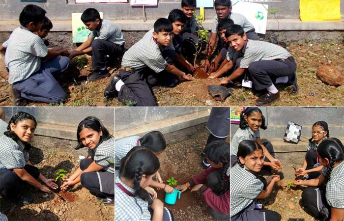 As part of the Behtar India campaign, the students of Intelligent Cadet International School organised a plantation drive and planted 150 saplings around their school.