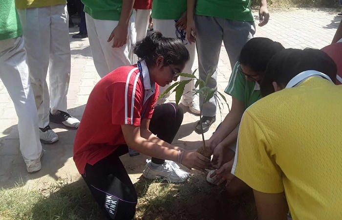 Lotus Valley International School, Gurgaon firmly believes in working for the community at large and they proved it by joining hands with Behtar India campaign stage 3. The school students planted 50 saplings in school.