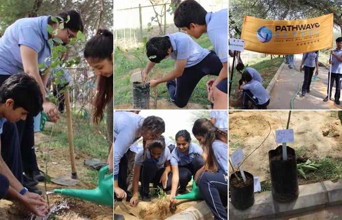 Seen here are the 11th grade students of Pathways High School, Gurgaon, who as a part of Behtar India campaign conducted a plantation drive at Wazirabad. About 250 species of the Aravalis; Goya Khai, Gundi, Bistendo and Adusa were planted.