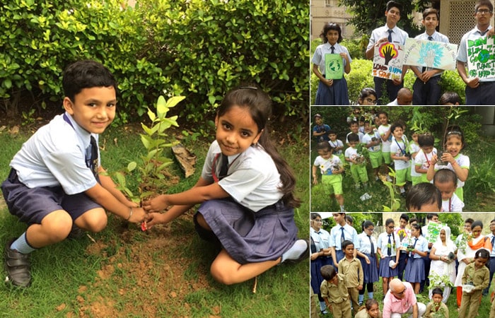 Ryan International School, Greater Noida took an initiative for clean and green India and planted 5322 saplings in and around the school in Greater Noida and Noida. They planted medicinal, fruit, ornamental and shady trees sapling in the city.