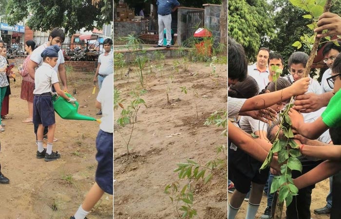 The students and teachers of The Shriram Millenium School organised a plantation drive and planted 500 saplings in a nearby park.